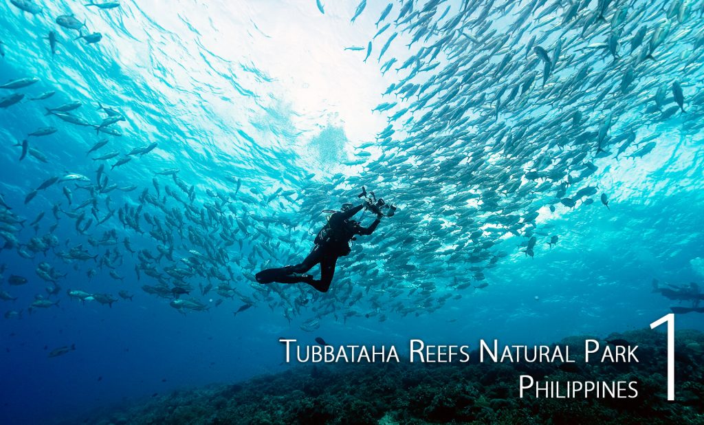 图巴塔哈珊瑚礁自然公园，菲律宾
