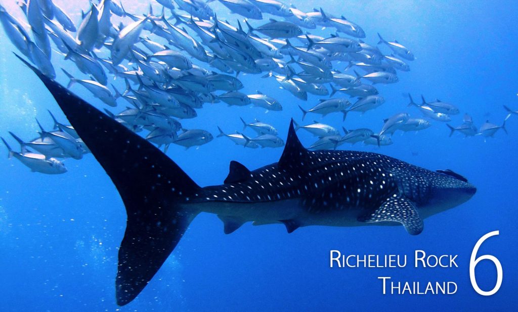 Richelieu Rock, Thailand