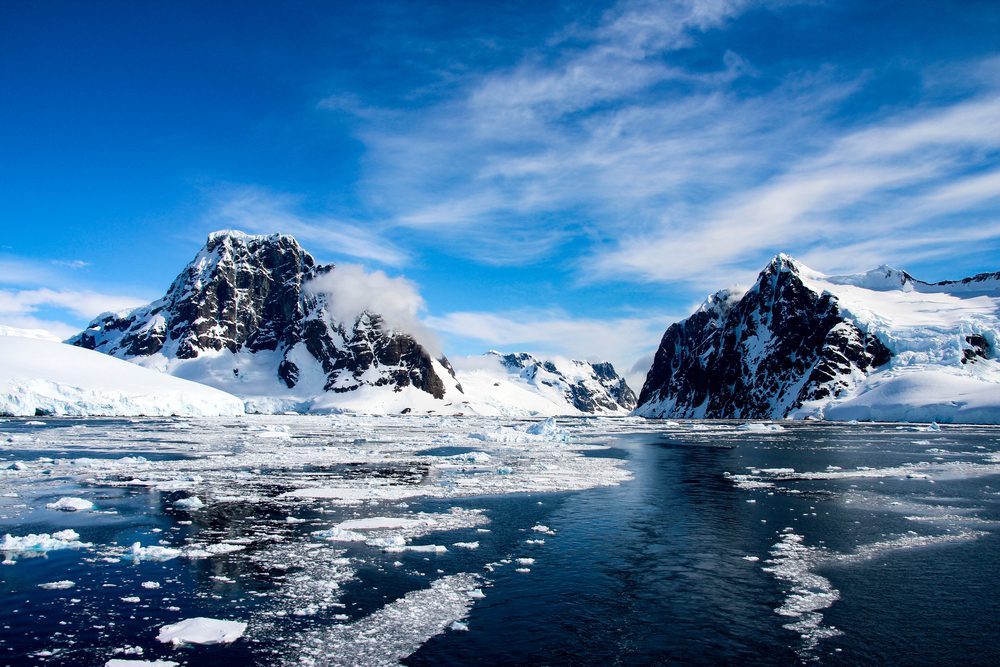 سيمبسون البحرية -- القطب الجنوبي